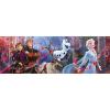 Disney Panorama Collection - Frozen - 1000 Pezzi (39544)