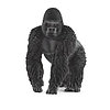 Gorilla maschio (2514770)