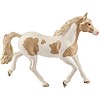 Giumenta paint horse (2513884)