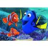 Finding Dory (07601)