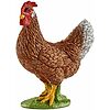 Gallina (13826)