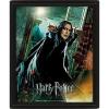 Quadro 3D Harry Potter Snape
