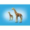Giraffa con cucciolo (6640)