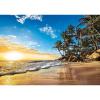 Tropical Sunrise 1500 pezzi High Quality Collection (31681)
