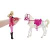 Lezione di Equitazione Barbie e il Cavallo Leggendario (Y6858)