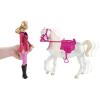 Lezione di Equitazione Barbie e il Cavallo Leggendario (Y6858)