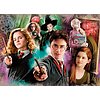 Harry Potter 104 pezzi (25712)