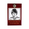 Harry Potter Photo Magnet Harry Potter (Platform 9 3/4)