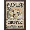 One Piece Portfolio 9 Posters (21x29,7) Wanted Luffy Crew Wano (ABYDCO624)