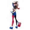 Harley Quinn DC Super Hero Girls (DLT65)