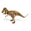 Dino Excavation Kit T Rex (Cl735K)