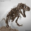 Imaginary Skeleton Tyrannosaurus scheletro dinosauro 1/32