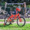 Bici 16