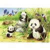 Dolci Koala e Panda Puzzle 2x24 pz (07820)