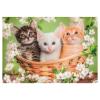 Puzzle 2x60 pz - Brothers in Fur (24820)