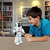 Robot Robbie Bot (XTM380831)