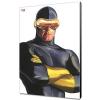 Alex Ross Cyclops Wood Panel