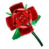 Rose - Botanical Collection (40460)