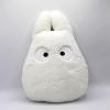 Totoro Nakayoshi White Cushion