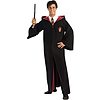 Costume Adulto Harry Potter