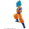 Goku Super Saiyan God Blue - Entry Grade