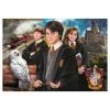 Puzzle 1000 pz - Harry Potter (39862)