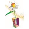 Idea - Mini Lab Fiori – Narciso (18876)