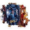 Puzzle 104 Harry Potter (61885)