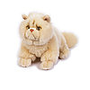 Chrystal Gatto Persiano My Puppy