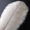Conf. 10 Piume Struzzo 28/32 Cm Bianco (921)