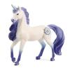 Stallone di unicorno mandala (2570715)