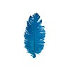Conf. 10 Piume Struzzo 28/32 Cm Azzurro (923)