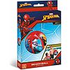 Pallone da spiaggia Spider-Man cm 50 (16929)