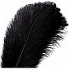 Conf. 10 Piume Struzzo 34/38 Cm Nero (930)