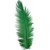 Conf. 10 Piume Struzzo 34/38 Cm Verde (936)
