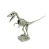 Velociraptor Skeleton (CL1664K)