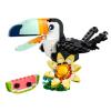 Animali selvatici: tucano tropicale (31173)