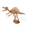 Spinosaurus Skeleton (CL1668K)