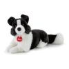 Border Collie Scott M (TUDN8000)