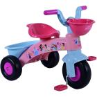 Triciclo Primi Passi Princess (75003)