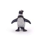 Pinguino africano (PAP56017)