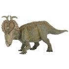 Pachyrhinosaurus (55019)