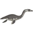 Plesiosaurus (55021)
