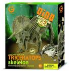 Excavation Kit Triceratops Scheletro
