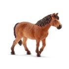 Giumenta Dartmoor Pony (2513873)