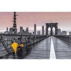 Assaf Frank: Brooklyn Bridge Umbrella (Poster Maxi 61x91,5 Cm)