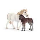 Giumenta Pony e Puledro (2542423)