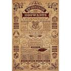 Harry Potter - Quidditch At Hogwarts Poster Maxi 61X91