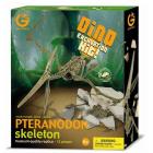 Excavation Kit Pteranodon Scheletro