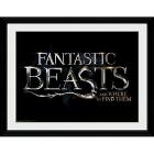 Fantastic Beasts: Logo (Stampa In Cornice 30x40 Cm)